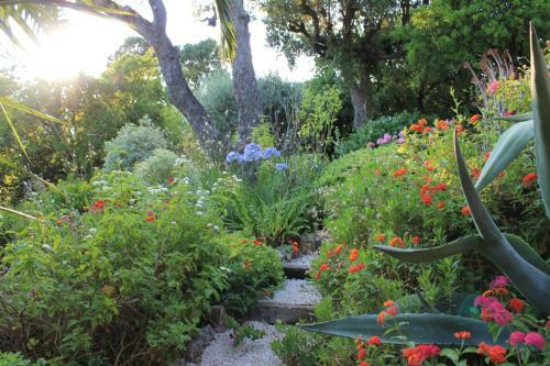 Bed & Breakfast Villa Port Sud