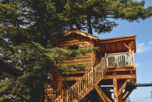 Hotel Logis H�tel Emeraude Des Bois