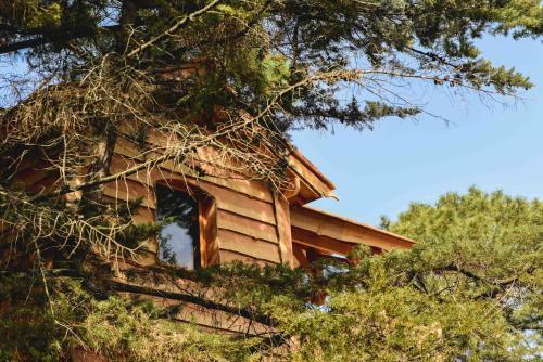 Hotel Logis H�tel Emeraude Des Bois