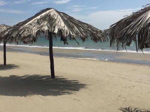 Hotel Waltako Beach Culture