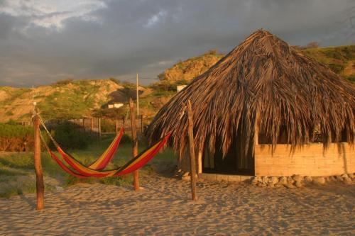 Hotel Waltako Beach Culture
