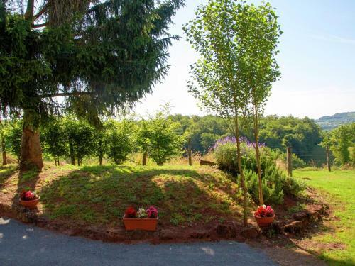 Agroturismo Maison Olivier