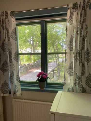 Albergue Aspan Kurs & L�gerg�rd