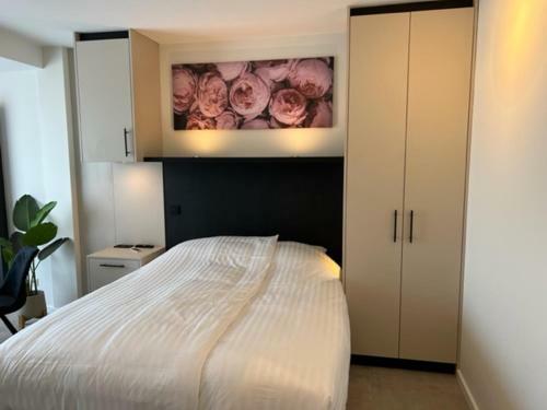 Apartamento Casa Del Cisne 3