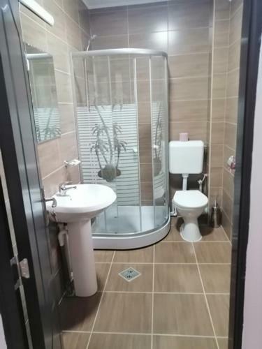 Hostal Pensiunea Denisa