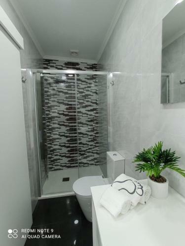 Apartamento Casa Rua Velha