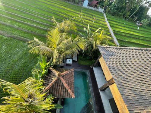 Danniel?s Luxury Villa In Pererenan