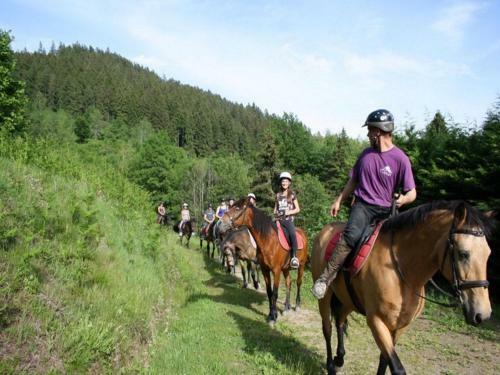 Holiday Home Les Chalets Des Ayes Le Thillot I