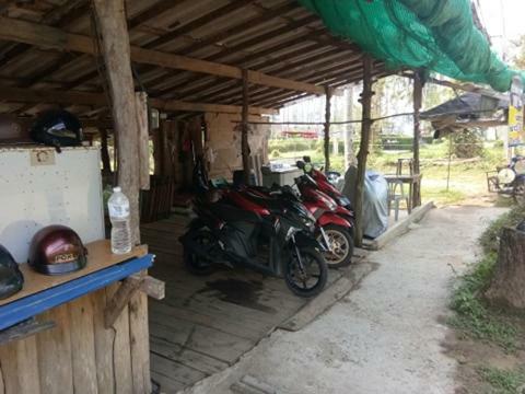 Tent Room At Tapao Beach