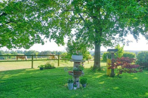 Apartamento Ferienwohnung Nina