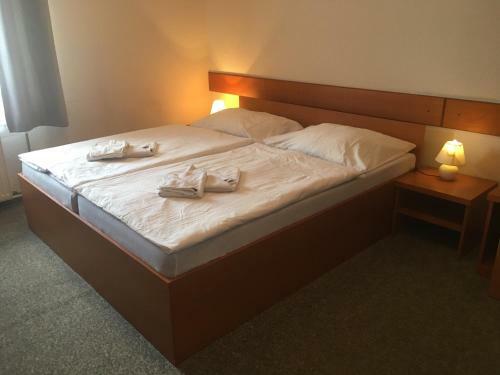 Hostal Penzion Pohoda