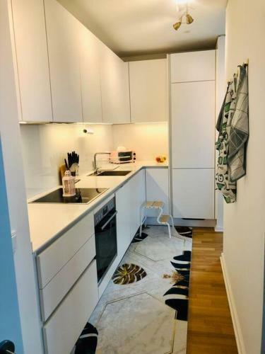 Apartamento Lux 2bd W/ Rooftop Terrace And Rhine Views!