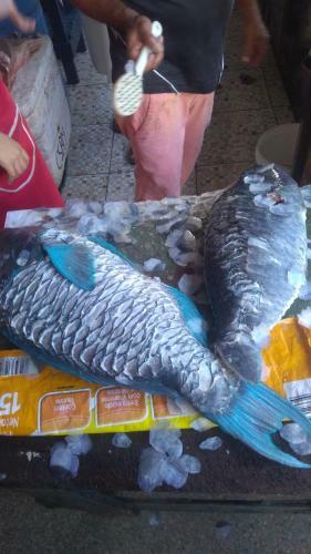 Apartamento Temporada Praia Litoral