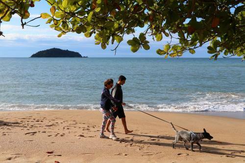 Apartamento Curta Praia Da Arma��o - Casa Tulipa
