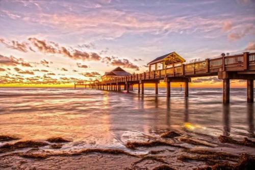 Casabetty Clearwater Florida