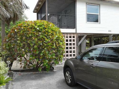 El Palmar Cottage Llc At Indian Rocks Beach Florida