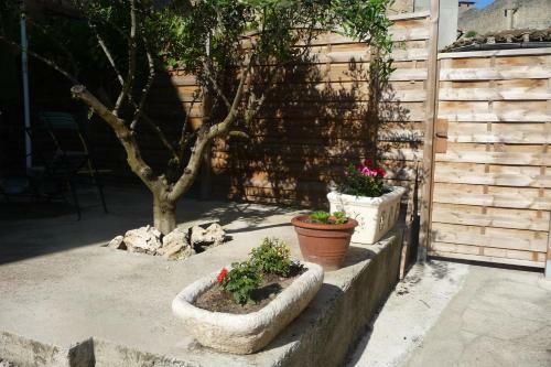 Le Patio Cathare