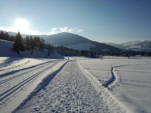 Apartamento Appartement Paratscher
