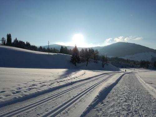 Apartamento Appartement Paratscher