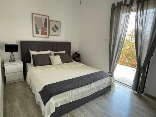 Cozy Apartment