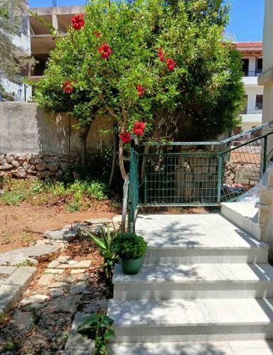 Apartamento Evita