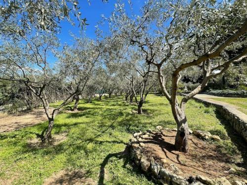 Stunning Evia Sea View Country House