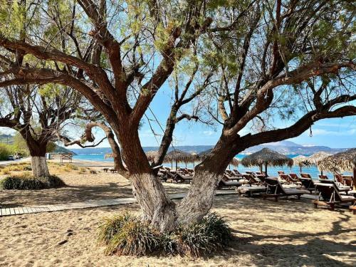 Maison Th�ia, Entre Mer Et Montagne Samonas