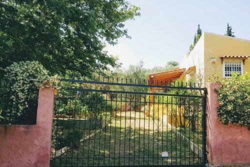 A Sun Shine Home