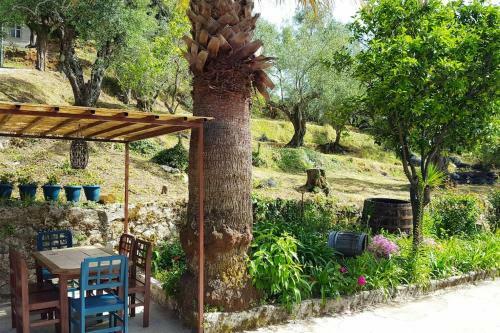 Apartamento Eleonas-olive Grove Traditional Holiday Appartment