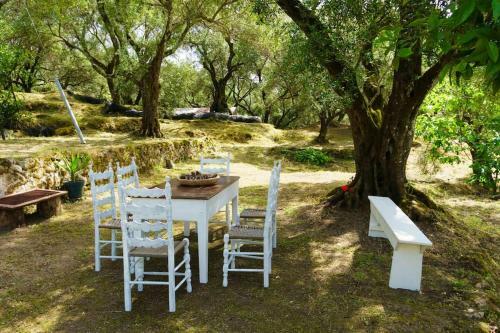 Apartamento Eleonas-olive Grove Traditional Holiday Appartment