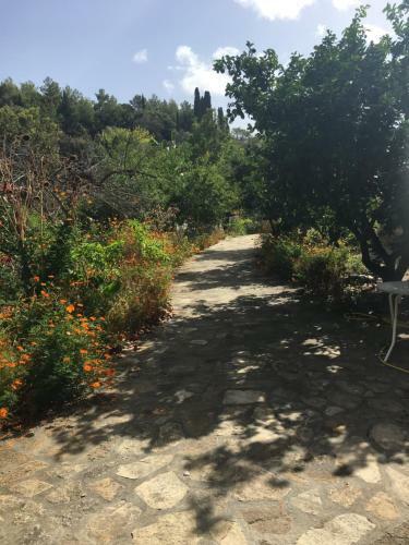 Alekos Rooms And Apartments