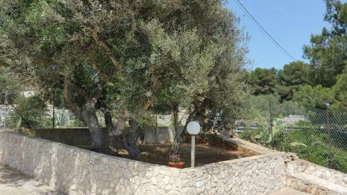 Villa Rosa Con Esclusiva Vista Sul Mare