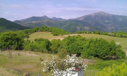 916 Mountain Resort
