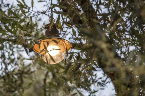 Apartamento Vassilis House