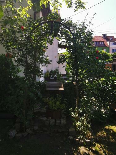 Hostal Kwatera U Zisi
