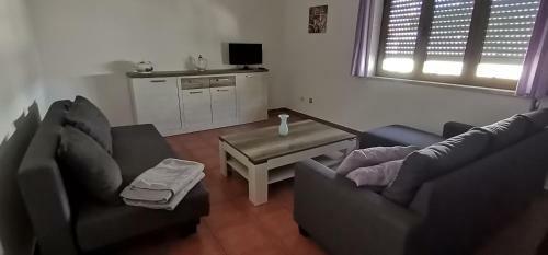 Apartamentos Guiomar Campos