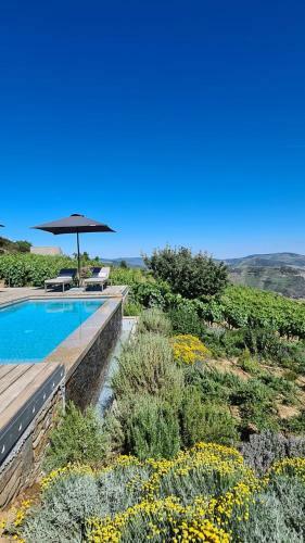 Villa Casa De Pena D'�guia - Douro Encantado