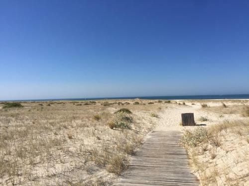 Tr�ia F�rias Na Praia