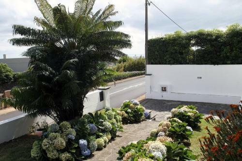 Family Holiday Villa Vacations Ponta Delgada