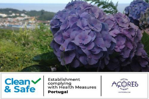 Family Holiday Villa Vacations Ponta Delgada