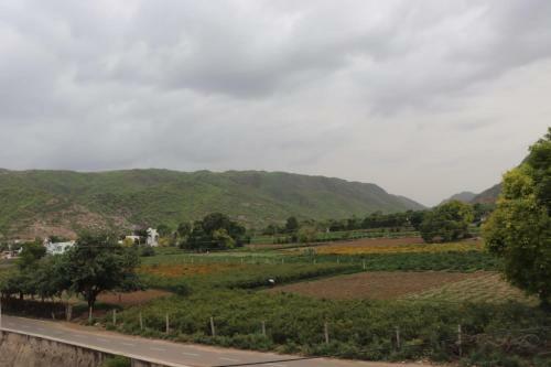 Villa Green Hub Pushkar