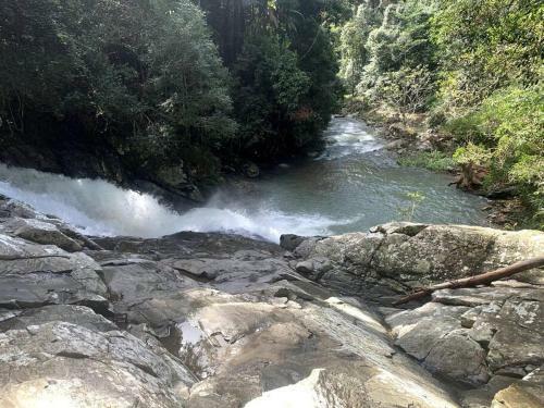 Apartamento Yurts Of Currumbin Valley