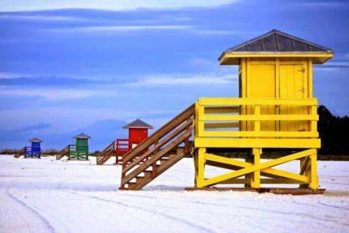 Apartamento Snowy Egret Tropical 1 - Pet Friendly