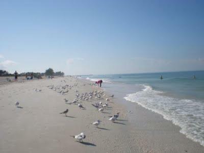 Apartamento Snowy Egret Tropical 1 - Pet Friendly