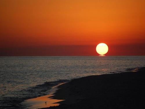 Apartamento The Pearl Of Navarre #1104