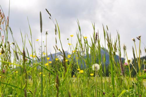 Agroturismo Hoarachhof