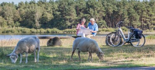 Hotel Van Der Valk Spier Dwingeloo