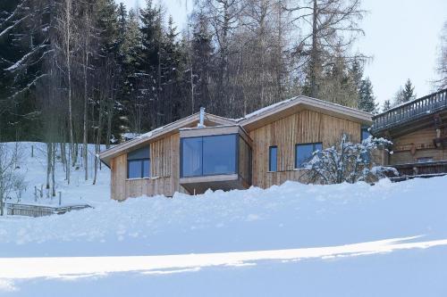 Chalet Alm Planai