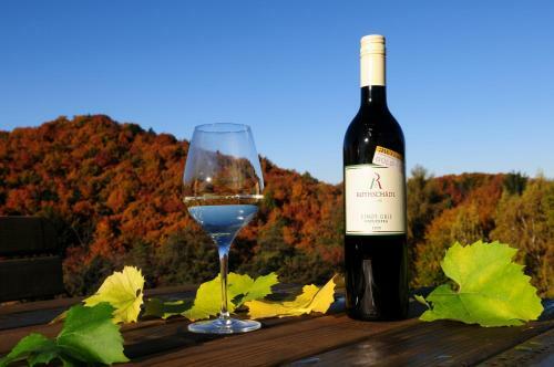 Hotel Weingut Winzerzimmer Rothsch�dl
