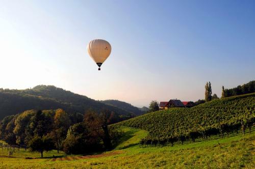 Hotel Weingut Winzerzimmer Rothsch�dl